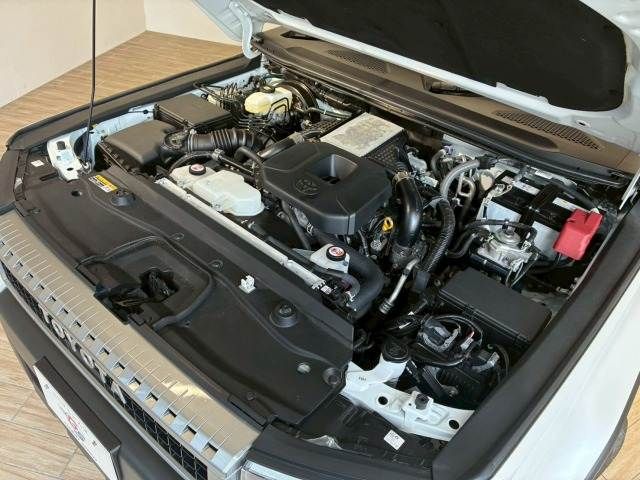 LANDCRUISER 250