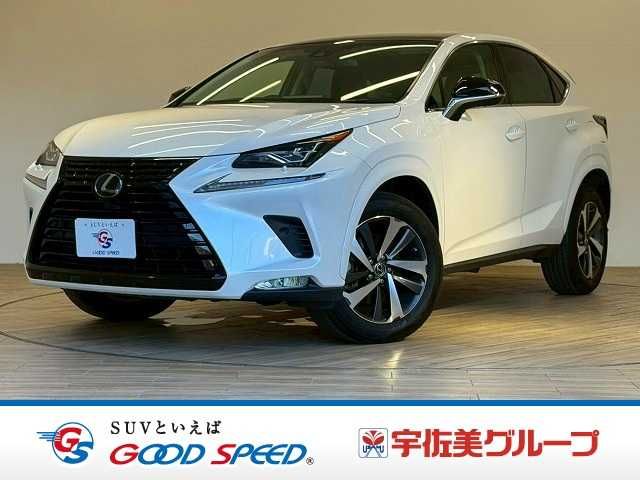 LEXUS NX300