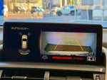 LEXUS NX300