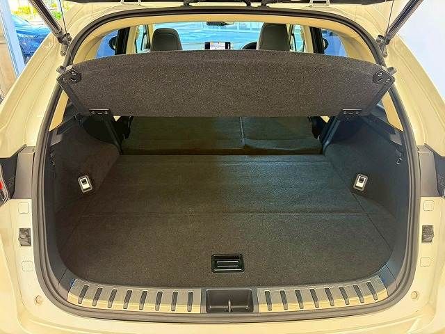 LEXUS NX300
