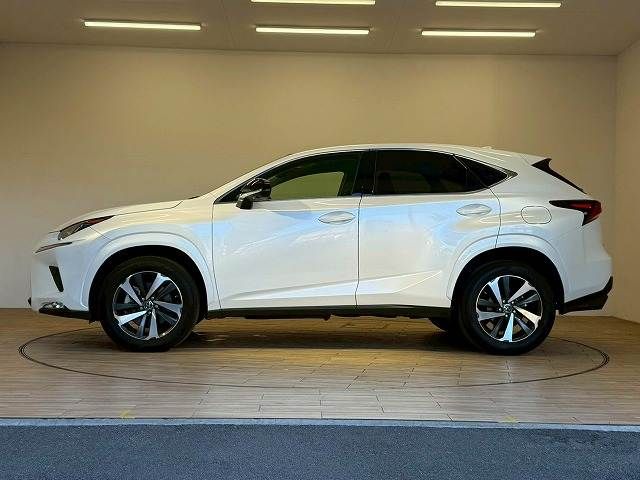 LEXUS NX300