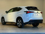 LEXUS NX300