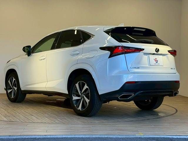 LEXUS NX300