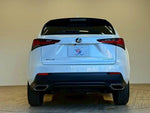 LEXUS NX300
