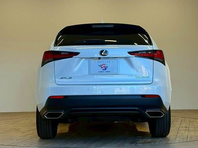 LEXUS NX300