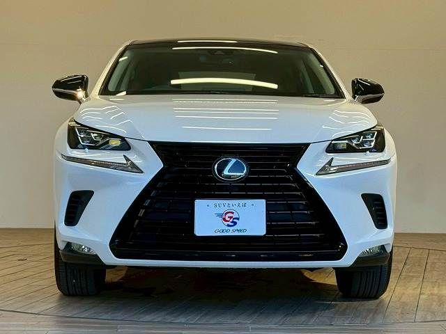 LEXUS NX300