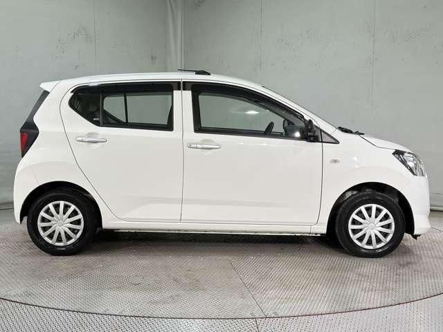 PLEO PLUS