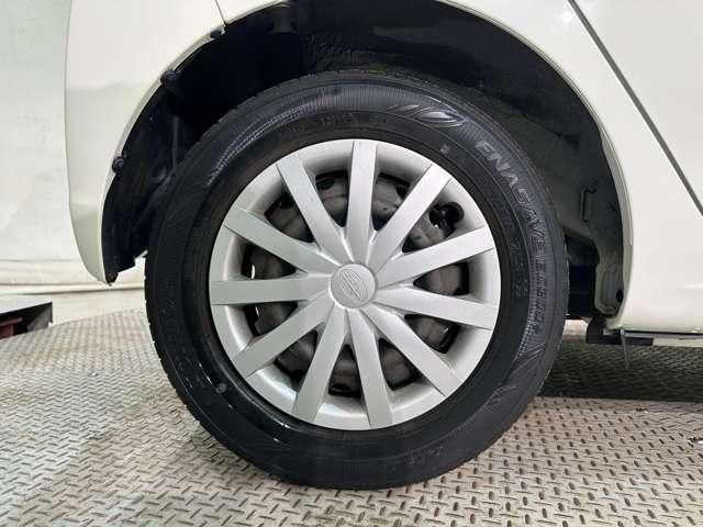 PLEO PLUS