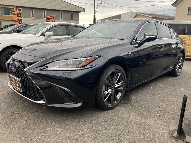 LEXUS ES300h