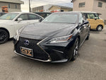 LEXUS ES300h