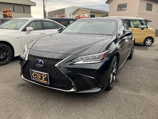 LEXUS ES300h
