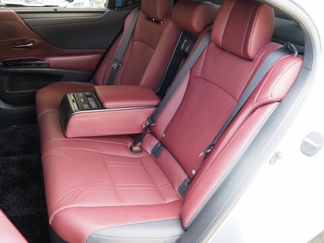 LEXUS ES300h