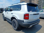 LANDCRUISER 250