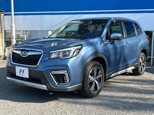 FORESTER