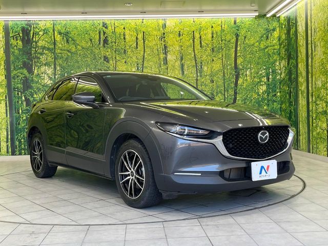 CX-30
