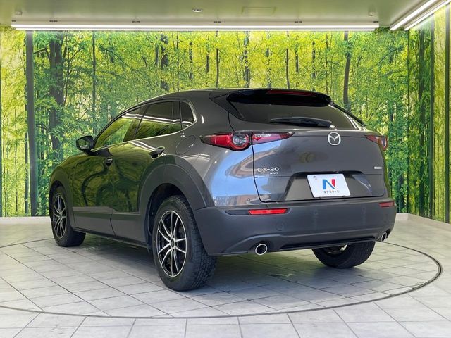 CX-30
