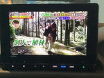 ZR-V