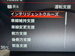 SERENA  WG