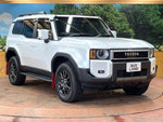 LANDCRUISER 250