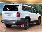 LANDCRUISER 250
