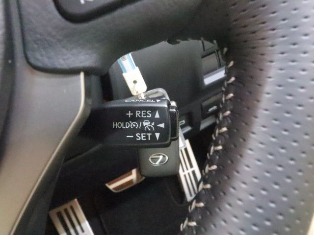 LEXUS RC300h