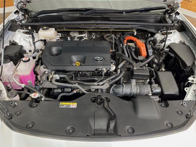 CROWN SPORT
