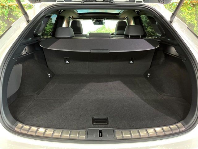 LEXUS RX350h