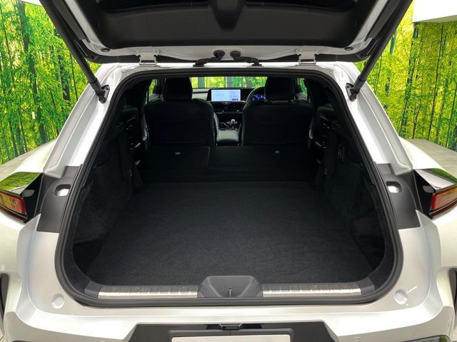 CROWN SPORT
