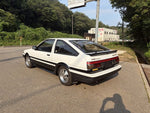 SPRINTER TRUENO hatchback