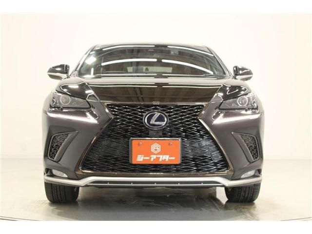 LEXUS NX300h AWD