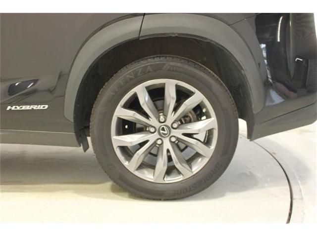 LEXUS NX300h AWD