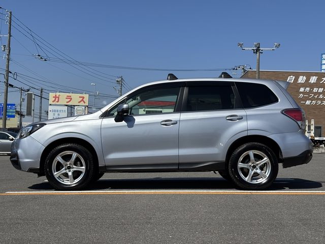 FORESTER