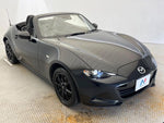 ROADSTER
