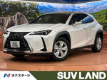 LEXUS UX250h