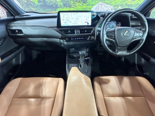 LEXUS UX250h