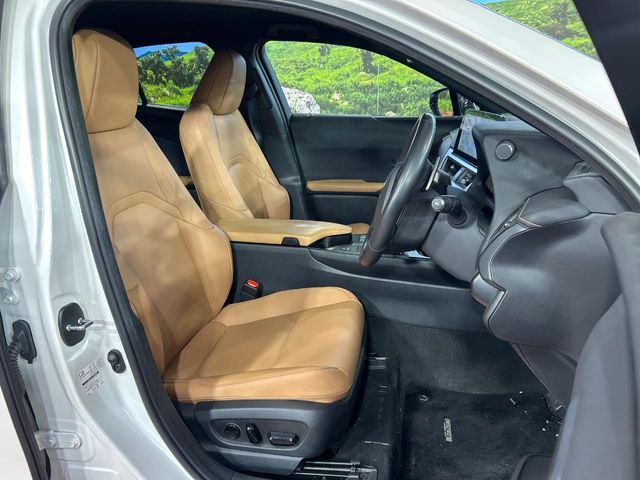 LEXUS UX250h