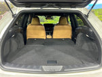 LEXUS UX250h