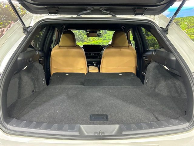 LEXUS UX250h