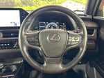 LEXUS UX250h