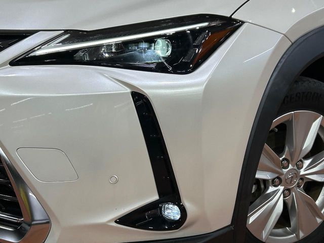LEXUS UX250h