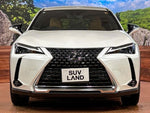 LEXUS UX250h