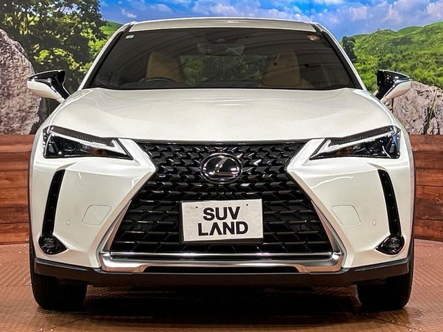 LEXUS UX250h