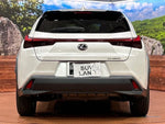 LEXUS UX250h