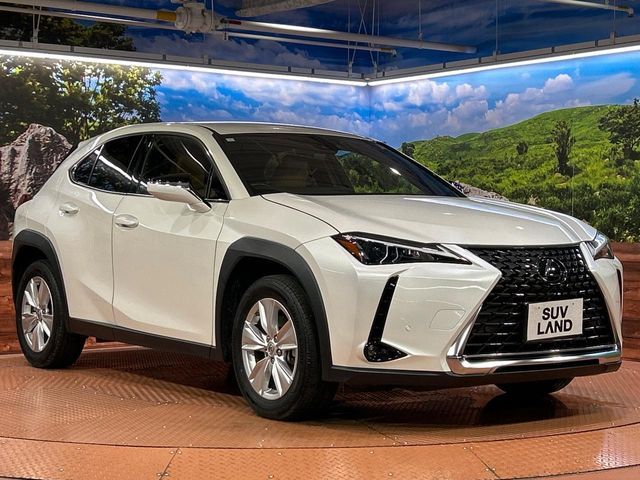 LEXUS UX250h