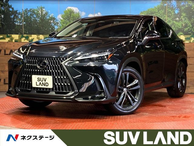 LEXUS NX250