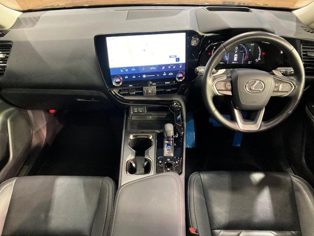 LEXUS NX250