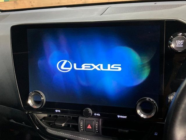 LEXUS NX250