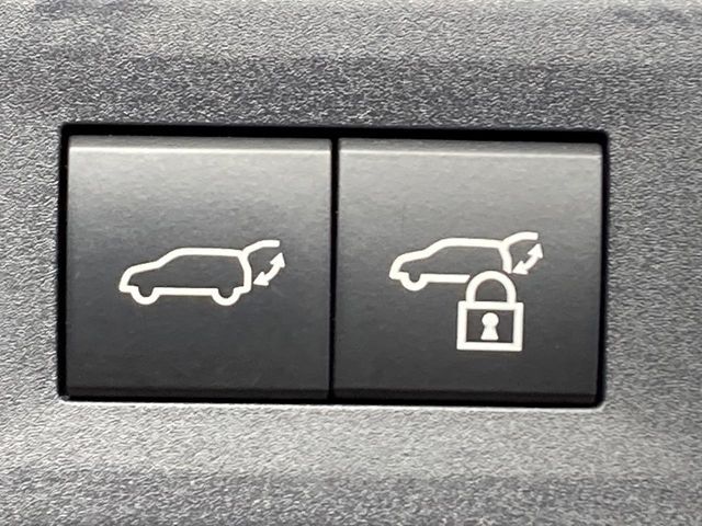 LEXUS NX250