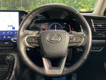 LEXUS NX250