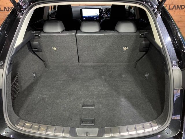 LEXUS NX250